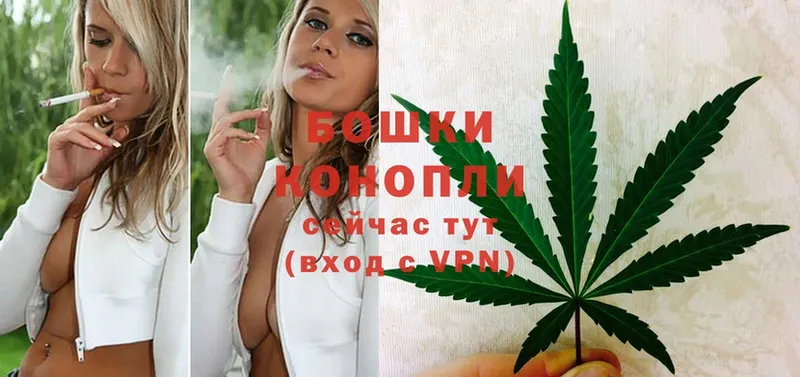 Канабис SATIVA & INDICA  где купить наркотик  mega как войти  Ковылкино 